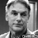 gibbs11.gif